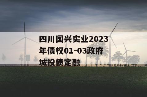 四川国兴实业2023年债权01-03政府城投债定融