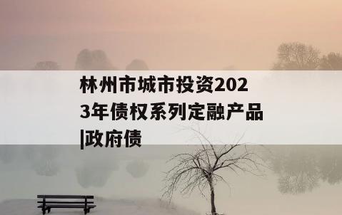 林州市城市投资2023年债权系列定融产品|政府债