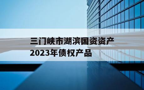 三门峡市湖滨国资资产2023年债权产品