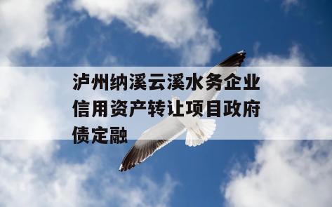 泸州纳溪云溪水务企业信用资产转让项目政府债定融