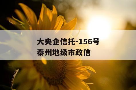 大央企信托-156号泰州地级市政信