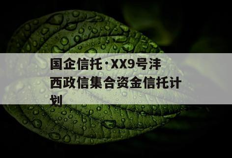 国企信托·XX9号沣西政信集合资金信托计划