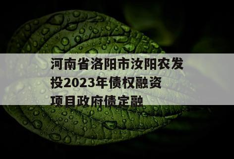 河南省洛阳市汝阳农发投2023年债权融资项目政府债定融