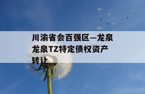 川渝省会百强区—龙泉龙泉TZ特定债权资产转让