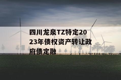 四川龙泉TZ特定2023年债权资产转让政府债定融