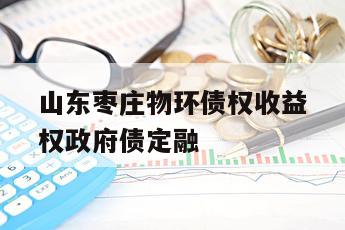 山东枣庄物环债权收益权政府债定融