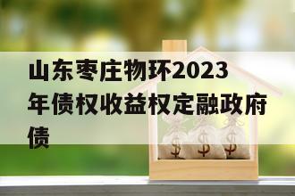 山东枣庄物环2023年债权收益权定融政府债