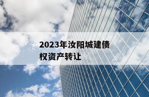 2023年汝阳城建债权资产转让
