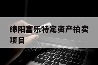 绵阳富乐特定资产拍卖项目