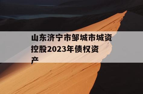 山东济宁市邹城市城资控股2023年债权资产