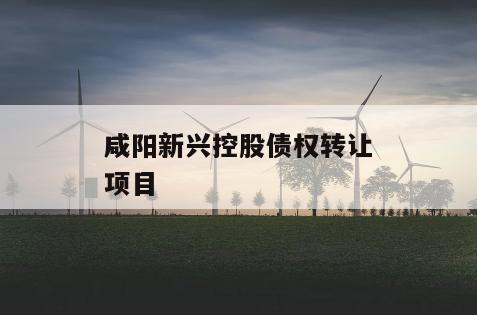 咸阳新兴控股债权转让项目