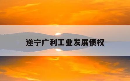 遂宁广利工业发展债权
