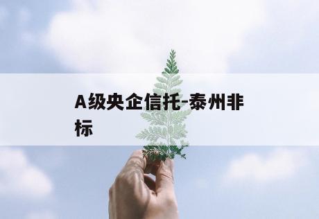 A级央企信托-泰州非标