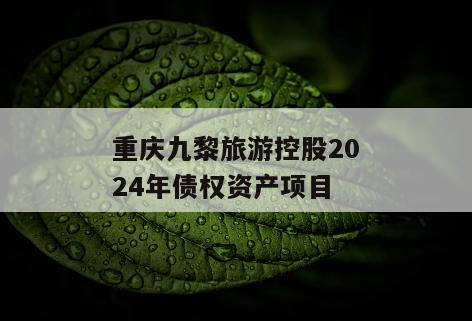 重庆九黎旅游控股2024年债权资产项目