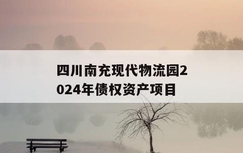 四川南充现代物流园2024年债权资产项目