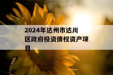 2024年达州市达川区政府投资债权资产项目