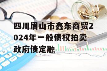 四川眉山市鑫东商贸2024年一般债权拍卖政府债定融