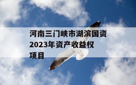 河南三门峡市湖滨国资2023年资产收益权项目