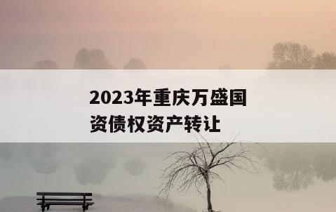 2023年重庆万盛国资债权资产转让