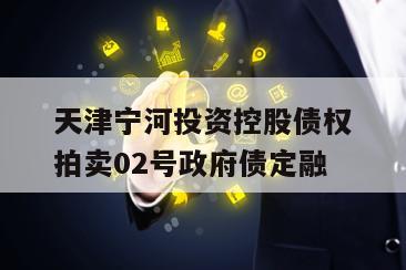 天津宁河投资控股债权拍卖02号政府债定融