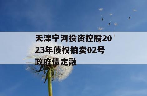天津宁河投资控股2023年债权拍卖02号政府债定融