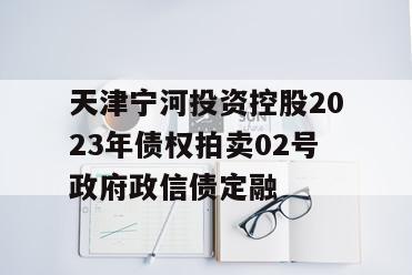 天津宁河投资控股2023年债权拍卖02号政府政信债定融