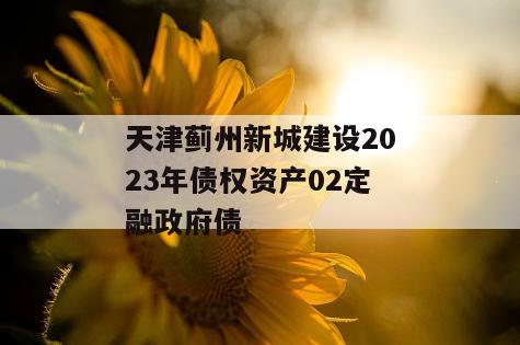 天津蓟州新城建设2023年债权资产02定融政府债
