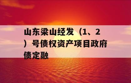山东梁山经发（1、2）号债权资产项目政府债定融