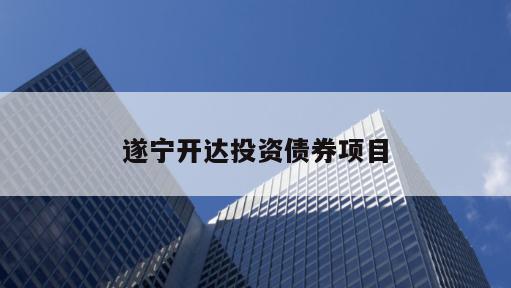 遂宁开达投资债券项目