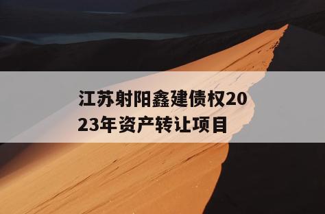 江苏射阳鑫建债权2023年资产转让项目