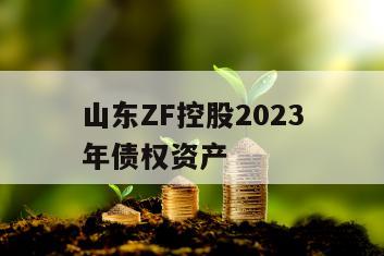 山东ZF控股2023年债权资产