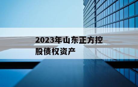 2023年山东正方控股债权资产