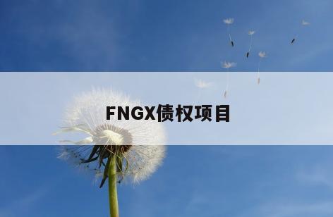 FNGX债权项目