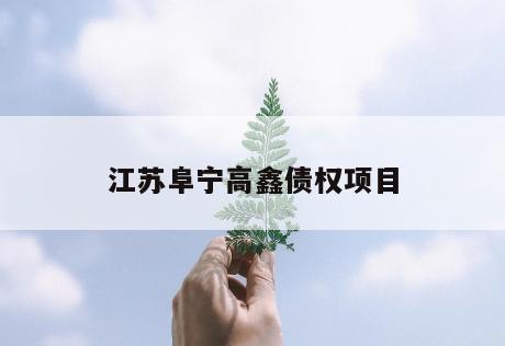 江苏阜宁高鑫债权项目