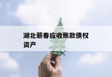 湖北蕲春应收账款债权资产
