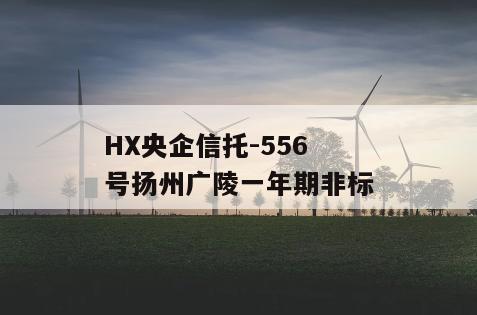 HX央企信托-556号扬州广陵一年期非标