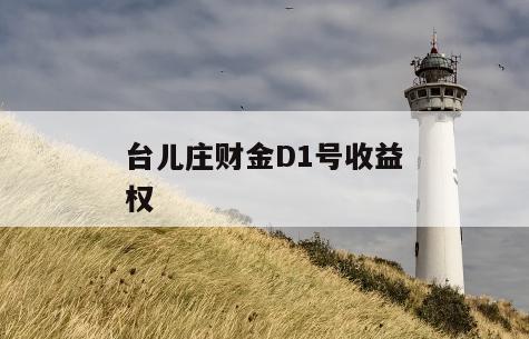 台儿庄财金D1号收益权