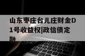 山东枣庄台儿庄财金D1号收益权|政信债定融