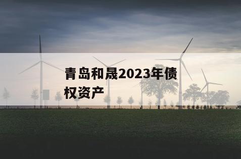 青岛和晟2023年债权资产
