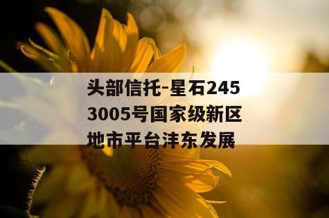 头部信托-星石2453005号国家级新区地市平台沣东发展