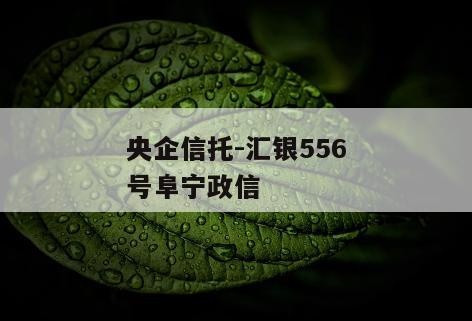央企信托-汇银556号阜宁政信