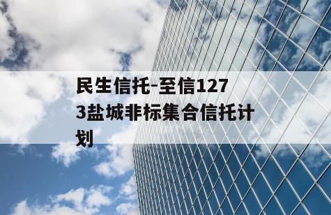 民生信托-至信1273盐城非标集合信托计划