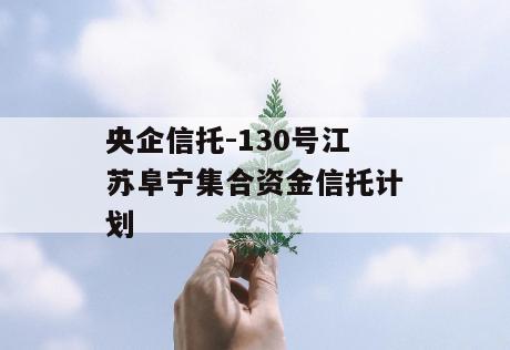 央企信托-130号江苏阜宁集合资金信托计划