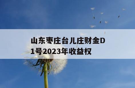 山东枣庄台儿庄财金D1号2023年收益权