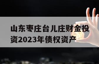 山东枣庄台儿庄财金投资2023年债权资产