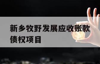 新乡牧野发展应收账款债权项目