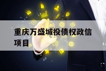 重庆万盛城投债权政信项目