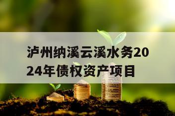 泸州纳溪云溪水务2024年债权资产项目