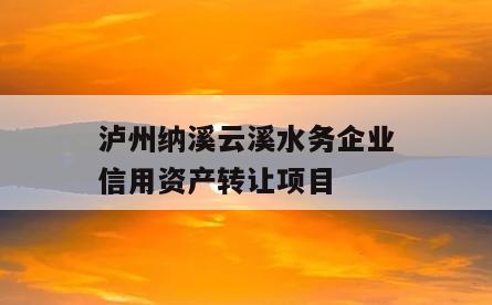 泸州纳溪云溪水务企业信用资产转让项目