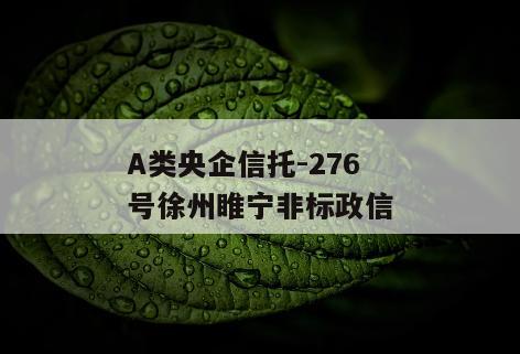A类央企信托-276号徐州睢宁非标政信